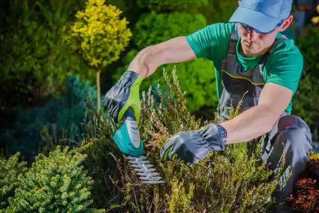 landscaping services Beaver Dam